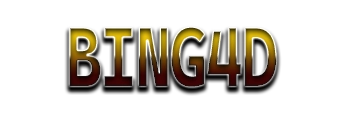 Logo BING4D